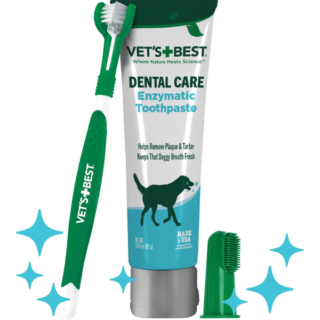 Enzymatic Toothpaste Kit